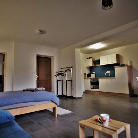 Old Square House - Hisa Na Starem Trgu Apartment Tolmin Luaran gambar