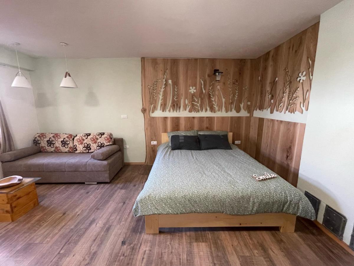 Old Square House - Hisa Na Starem Trgu Apartment Tolmin Luaran gambar