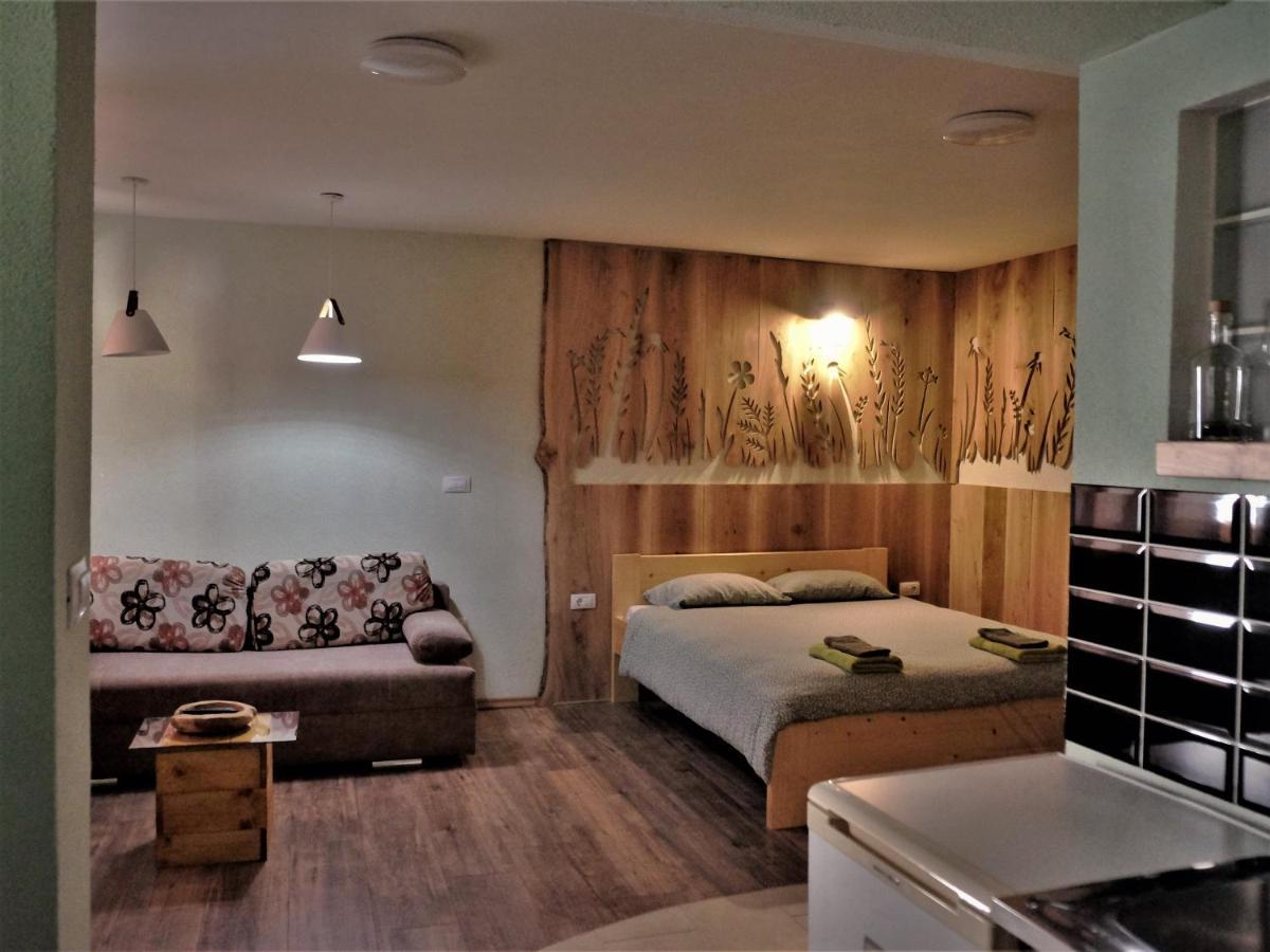 Old Square House - Hisa Na Starem Trgu Apartment Tolmin Luaran gambar